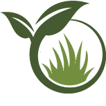 Hydro Grass Seeding Installation Pros