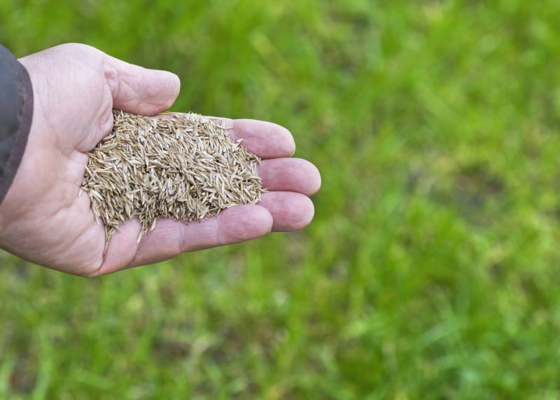 Fall Lawn Seeding in Honolulu, HI