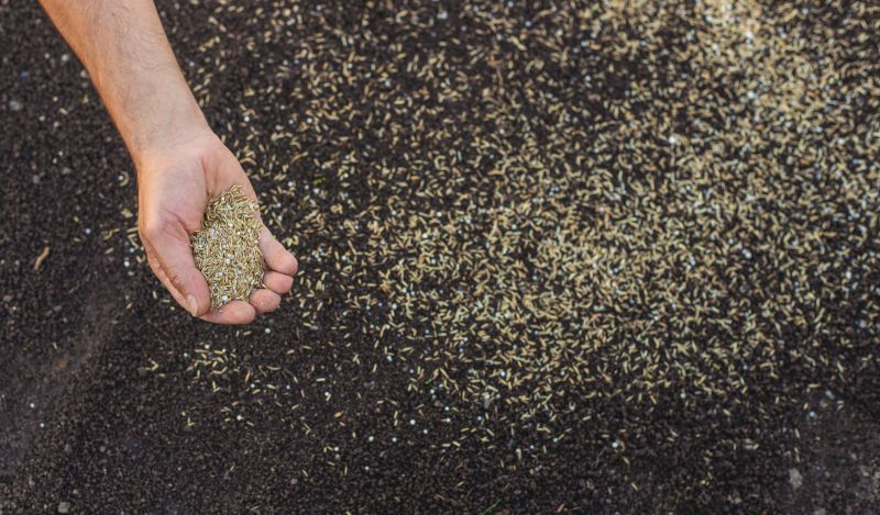 Residential Grass Seeding