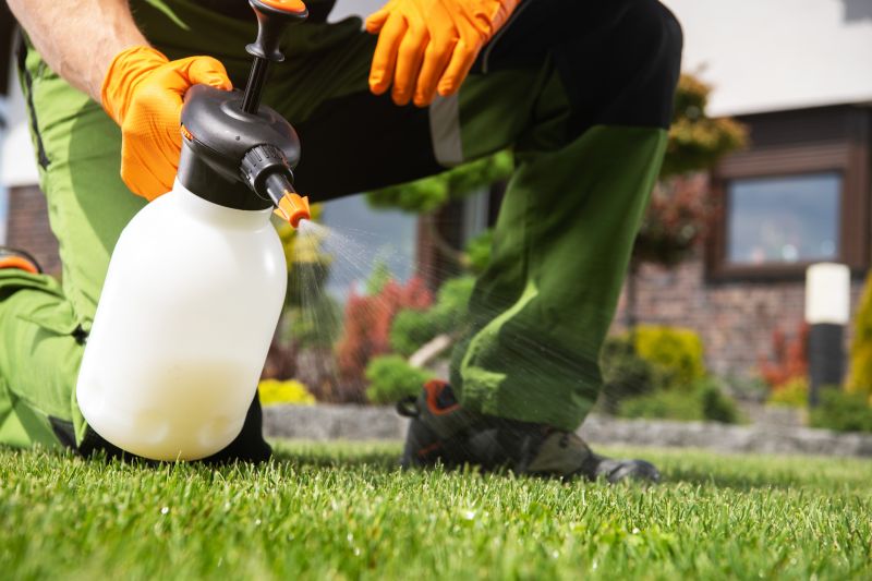 Spring Lawn Treatment in Ventura County, CA