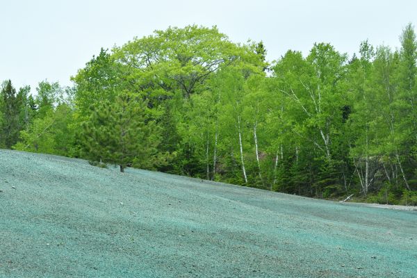 Hydroseeding
