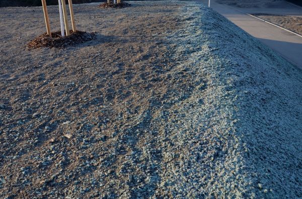 Erosion Control Seeding