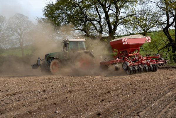 Slurry Seeding